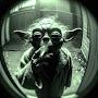 @Trancestral.