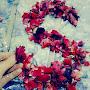 @saimajaffery5307