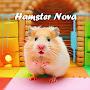 @Hamsternova