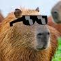 Capibara