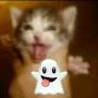 @JerrylolXD