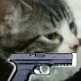 Gun Catto