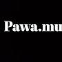 PAWA MUSIC