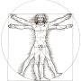 @The-Vitruvian-Man