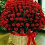 @radja7480