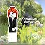 @Havvarbxx_roblox