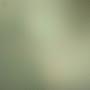 @glennlobo3416