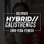 Hybrid Calisthenics