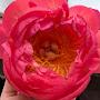 @user-ui9pb5rr3t