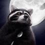 @SadlyRaccoon