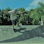@feebleskates9913