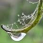 @abdelhaqlhassar1484