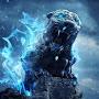 @abrarjawadfardin99