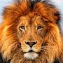 @BrajeshKumar-bu5pl