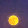 @SaadSaad-bb5nk