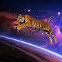 Galactic Tiger