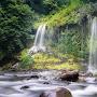@wiwiksetiawan4728