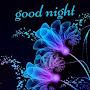 @roadmaster14