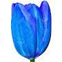 @jhowe5571