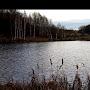 @АлександрРыбаклёв