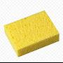 sponge