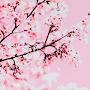 @blessedlife6771
