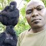 @Negrila_Gorilla