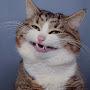 @dhx3hjjb78fj5