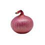 onion