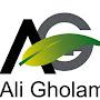 @alighulami5124