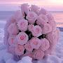@ilmTnur