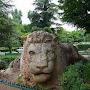 @SaidFarah-hj8mj