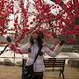 @hellochina2411