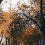 @Makar-w7g