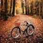 @Serjik75