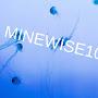 MINEWISE1012