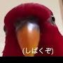 @zukeino-anti