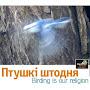 @dzmitryvincheuski7406