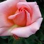 @razafyflorence7028