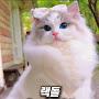 @애봉이-d3w