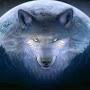 @blackwolf3857