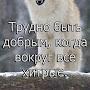 @pavel499