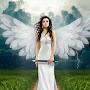 @amarellaed9737