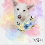 @봄여초송루달맘