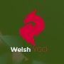 WelshYGO