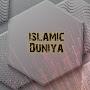 @islamicduniya5856