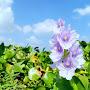 @ashraful630