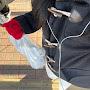 @_k.sikong6293