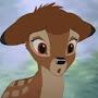 @mallowpelt