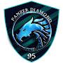 panzerdiamond95 gaming